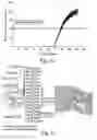 Fig. 03 - Qualitative and quantitative detection of microbial nucleic acids