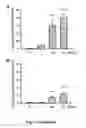 Fig. 06 - Tmsb4 as a Biomarker for IgA Nephropathy