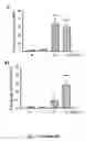 Fig. 07 - Tmsb4 as a Biomarker for IgA Nephropathy