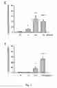 Fig. 08 - Tmsb4 as a Biomarker for IgA Nephropathy