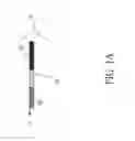 Fig. 02 - SEQUENCE AMPLIFICATION WITH LINEAR PRIMERS