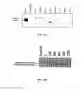 Fig. 08 - SYNAPTOTAGMIN AND COLLAPSIN RESPONSE MEDIATOR PROTEIN AS BIOMARKERS FOR TRAUMATIC BRAIN INJURY
