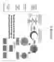 Fig. 06 - Selectable markers and related methods