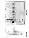 Fig. 07 - Isothermal DNA amplification