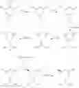 Fig. 33 - Synthesis of statins