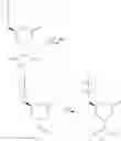 Fig. 46 - Synthesis of statins
