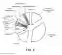 Fig. 08 - METHODS AND COMPOSITIONS FOR IMPROVING THE PRODUCTION OF PRODUCTS IN MICROORGANISMS