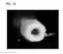 Fig. 28 - Self-assembling multicellular bodies and methods of producing a three-dimensional biological structure using the same