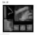 Fig. 32 - Self-assembling multicellular bodies and methods of producing a three-dimensional biological structure using the same