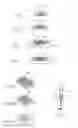 Fig. 05 - Cytoblock preparation system and methods of use