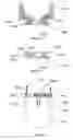 Fig. 16 - Cytoblock preparation system and methods of use