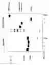 Fig. 08 - Methods for generating stably linked complexes composed of homodimers, homotetramers or dimers of dimers and uses