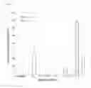Fig. 07 - NOVEL LACTOBACILLUS PLANTARUM AND COMPOSITION COMPRISING SAME