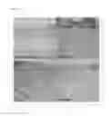 Fig. 12 - NOVEL LACTOBACILLUS PLANTARUM AND COMPOSITION COMPRISING SAME