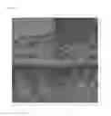 Fig. 14 - NOVEL LACTOBACILLUS PLANTARUM AND COMPOSITION COMPRISING SAME