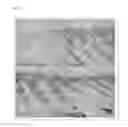 Fig. 16 - NOVEL LACTOBACILLUS PLANTARUM AND COMPOSITION COMPRISING SAME