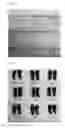 Fig. 19 - NOVEL LACTOBACILLUS PLANTARUM AND COMPOSITION COMPRISING SAME