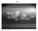 Fig. 11 - DEVICE FOR REMOVING CUMULUS FROM OOCYTES