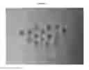 Fig. 12 - DEVICE FOR REMOVING CUMULUS FROM OOCYTES