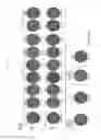 Fig. 02 - Method of producing induced pluripotent stem cells using inhibitors of P53