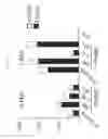 Fig. 03 - Method of producing induced pluripotent stem cells using inhibitors of P53
