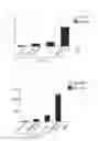 Fig. 09 - Method of producing induced pluripotent stem cells using inhibitors of P53
