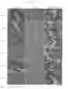 Fig. 28 - Method of producing induced pluripotent stem cells using inhibitors of P53