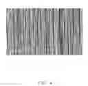 Fig. 05 - Method for forming nerve graft