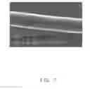 Fig. 08 - Method for forming nerve graft