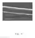 Fig. 08 - Method for culturing cells on culture medium