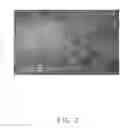 Fig. 04 - Culture substrate comprising carbon nanotube structure