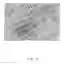 Fig. 06 - Culture substrate comprising carbon nanotube structure