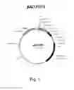 Fig. 02 - Multi plasmids system for the production of influenza virus
