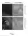 Fig. 03 - Multi plasmids system for the production of influenza virus