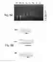 Fig. 06 - Multi plasmids system for the production of influenza virus