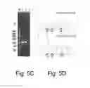 Fig. 07 - Multi plasmids system for the production of influenza virus