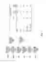 Fig. 44 - Multi plasmids system for the production of influenza virus