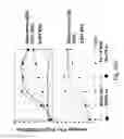 Fig. 53 - Multi plasmids system for the production of influenza virus