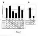 Fig. 55 - Multi plasmids system for the production of influenza virus