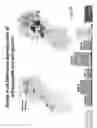 Fig. 58 - Multi plasmids system for the production of influenza virus