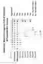 Fig. 60 - Multi plasmids system for the production of influenza virus