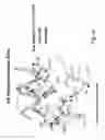 Fig. 68 - Multi plasmids system for the production of influenza virus