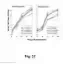 Fig. 71 - Multi plasmids system for the production of influenza virus