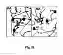 Fig. 72 - Multi plasmids system for the production of influenza virus