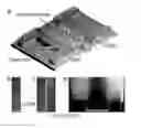 Fig. 09 - Nanofilter devices using elastomeric micro to nanochannel interfaces and methods based thereon