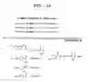 Fig. 07 - Fluorescent molecule and method for detecting target nucleic acid