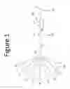 Fig. 02 - Multicoded analytical nanostrips