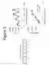 Fig. 04 - Multicoded analytical nanostrips