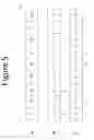 Fig. 06 - Multicoded analytical nanostrips