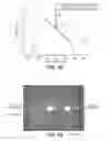 Fig. 16 - Integrated optofluidic system using microspheres